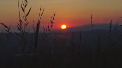 Sunset in the mountains and herbs , sun Видео 64896040