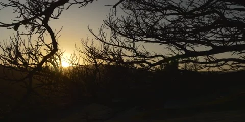 Sunset In The Mountains Behind Tree Branches In The Foreground Stock Footage 131982108