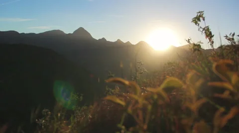 Sunset in the mountains between plants in the wind. Stock Footage 57772866