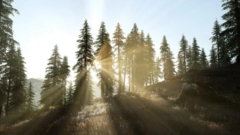 Sunset in the mountains Stock Footage 117812442