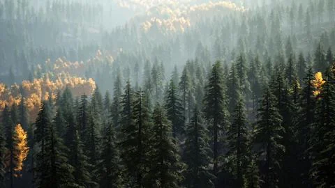 Sunset in the mountains with forest and shining sun 스톡 일러스트