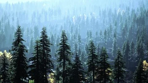 Sunset in the mountains with forest and shining sun Illustrazione stock