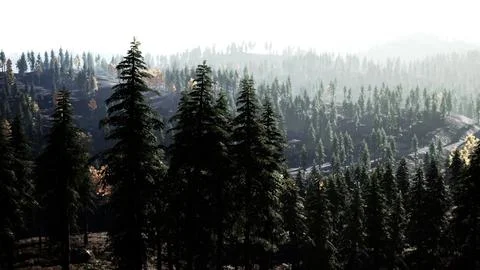 Sunset in the mountains with forest and shining sun 스톡 일러스트