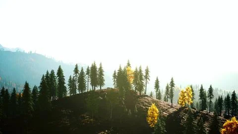 Sunset in the mountains with forest and shining sun Illustrazione stock