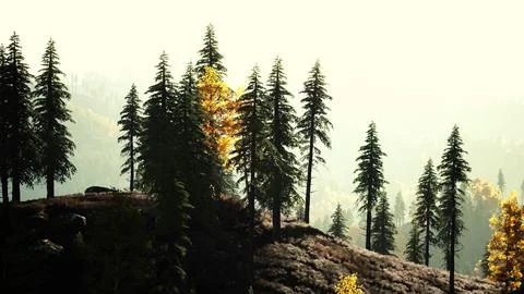 Sunset in the mountains with forest and shining sun Illustrazione stock