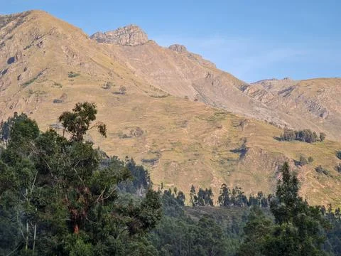 Sunset in the mountains with forests Stock Photos