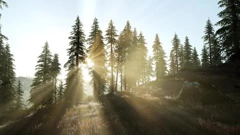 Sunset in the mountains Stock Illustration