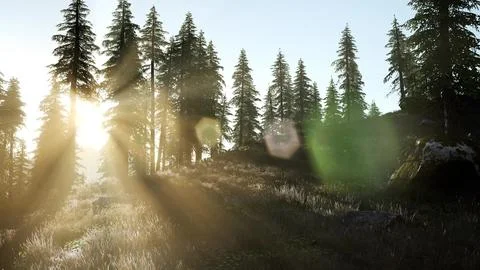 Sunset in the mountains Stock Illustration
