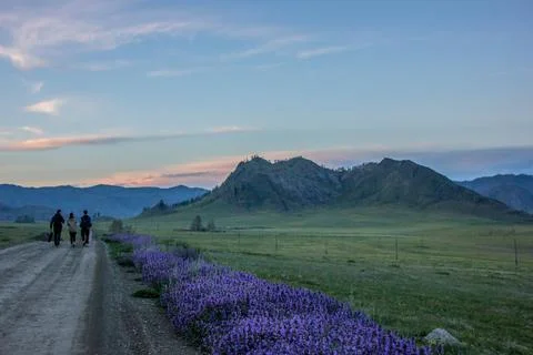 Sunset in the Mountains Stock Photos