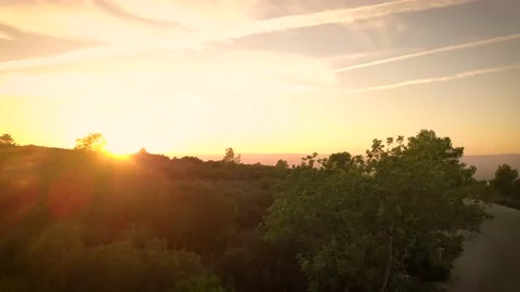Sunset in mountains with pine trees Stock Footage 133723260