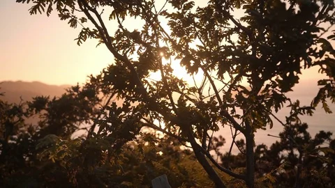 Sunset in mountains in summertime Video stock 70805165