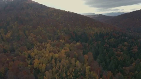 Sunset in Mountains. Sun's rays. Beautiful forest. Stock Footage 165162685