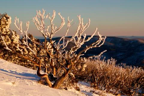Sunset on the Mountainside Foto stock