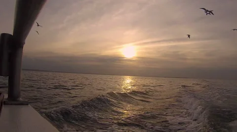 Sunset From Moving Boat Video stock 40609950