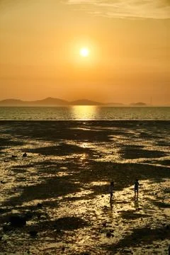Sunset with mud flat Foto stock