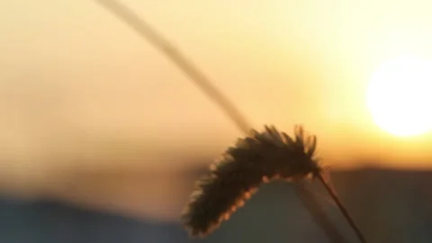 Sunset in mumbai Stock-Footage 134820758