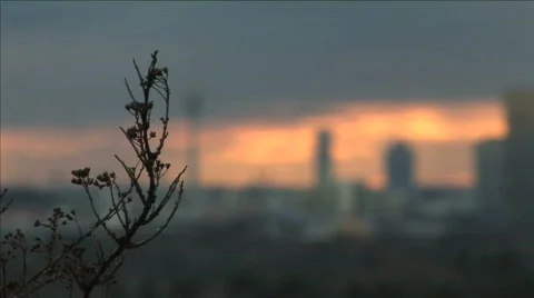 Sunset munich city view Stock Footage 277846