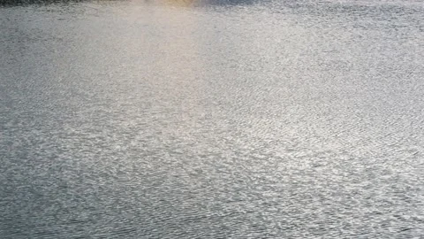 Sunset n sunrise reflection on water surface, texture of ocean slow motion Stock Footage 205574410