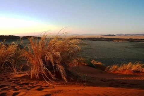 Sunset in the Namib desert. Stock Photos