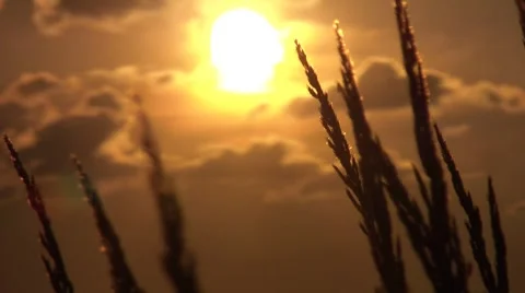 Sunset On The Nature 2 Stock Footage 7765938