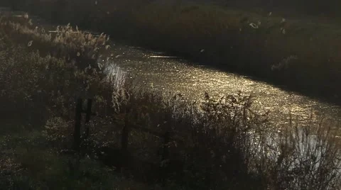 Sunset on the Nature and river Vídeos de archivo 58208314