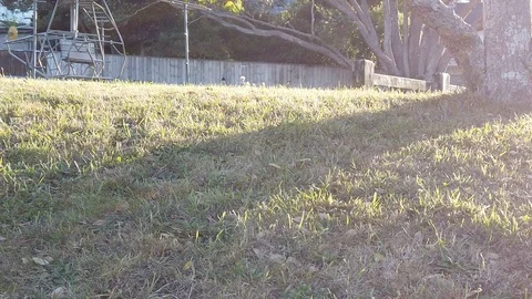 Sunset Nature Background ; Slow motion Stock Footage 125218672