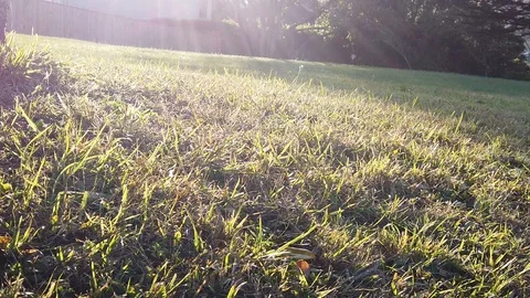 Sunset Nature Background ; Slow motion Stock Footage 125218673