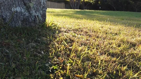 Sunset Nature Background ; Slow motion Stock Footage 125218690