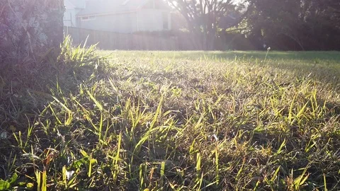 Sunset Nature Background ; Slow motion Stock Footage 125218699