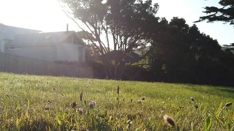 Sunset Nature Background ; Slow motion Stock Footage 125218723