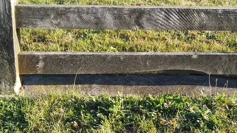 Sunset Nature Background ; Slow motion Stock Footage 125218733