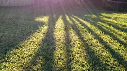 Sunset Nature Background ; Slow motion Stock Footage 125218749