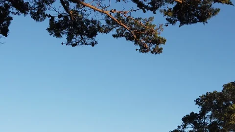 Sunset Nature Background ; Slow motion Stock Footage 125218752