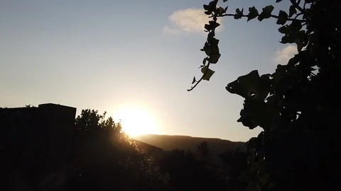 Sunset Nature Background ; Slow motion Stock Footage 125218772