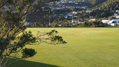 Sunset Nature Background ; Slow motion Stock Footage 125218779