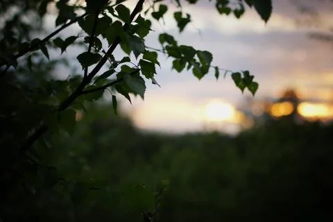Sunset on the nature of the backlight landscape Stock Photos
