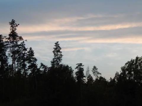Sunset on nature forest and fields at dusk Stock Photos