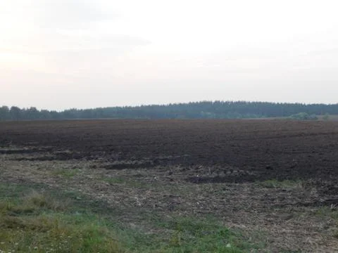 Sunset on nature forest and fields at dusk 库存照片