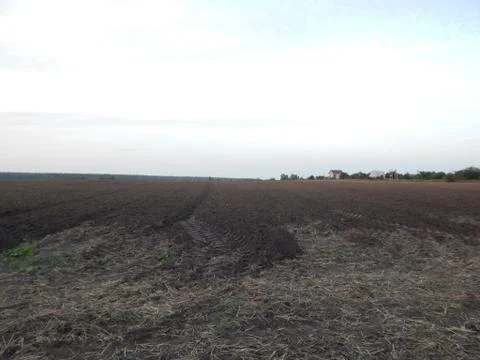 Sunset on nature forest and fields at dusk Photos