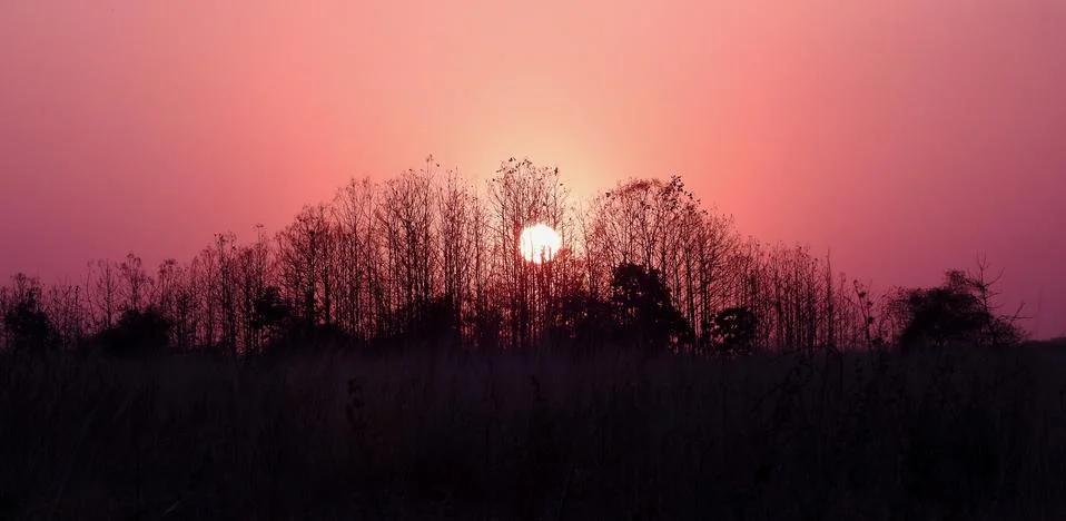 Sunset in nature Stock Photos
