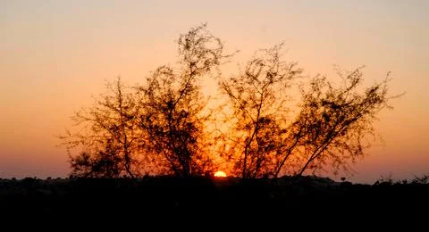 Sunset with nature Stock Photos