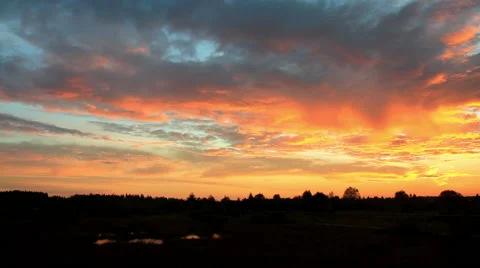 Sunset in a nature reserve Stock Footage 55789613
