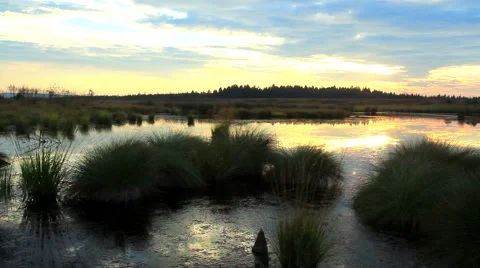Sunset in a nature reserve Stock Footage 66753691