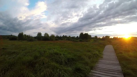 Sunset in a nature reserve. Stock Footage 78674906