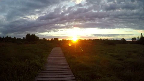 Sunset in a nature reserve. Time lapse. Stock Footage 78675072