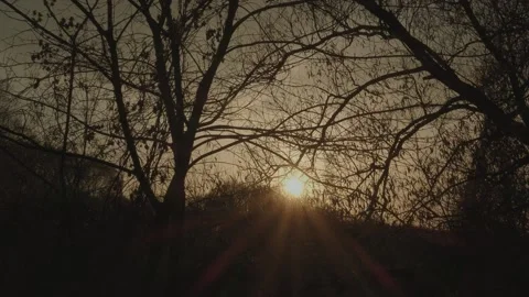 Sunset in nature. Summer evening Stock Footage 131734059