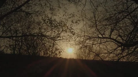 Sunset in nature. Summer evening Stock Footage 131734093