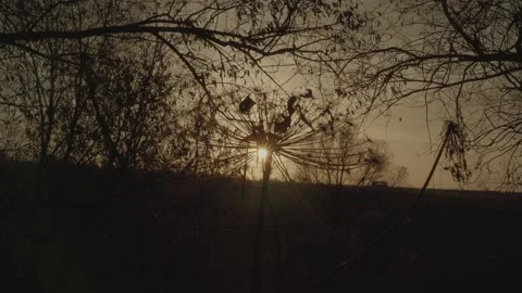 Sunset in nature. Summer evening Stock Footage 131734126