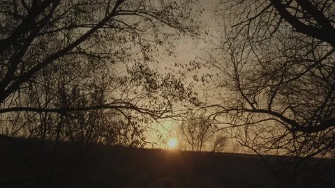 Sunset in nature. Summer evening Stock Footage 131734219