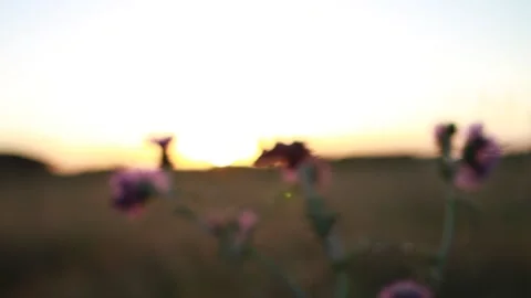 Sunset at Nazaré Detached lens. Video stock 154714162